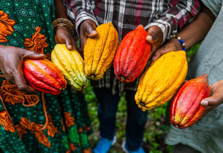 AFN : L’initiative AfricaBP vise à séquencer 105 000 espèces endémiques en Afrique