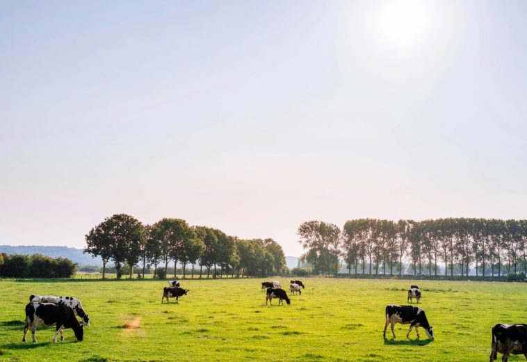 LinkedIn: Regenerative Agriculture: A Movement, A Mindset &…a Religion?