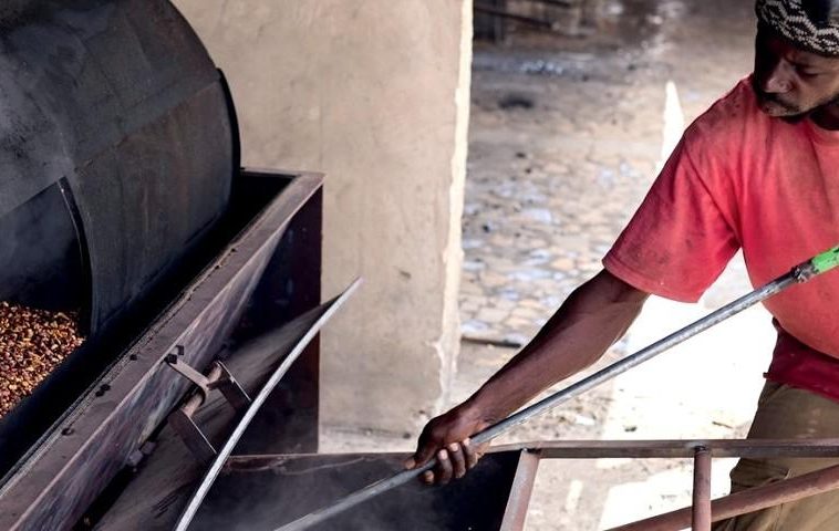 CIRAD: Circular economy, a strategic lever for more sustainable food systems