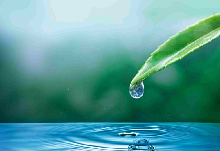 Centre politique pour le nouveau Sud : l’eau sera déterminante dans la prochaine guerre