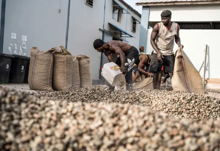 BLOOMBERG : Le chaos commercial mondial de Trump crée une opportunité pour les agriculteurs africains