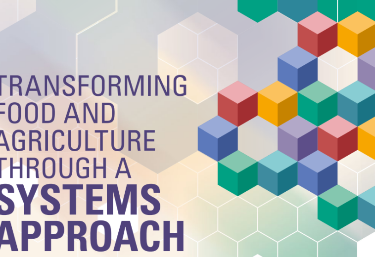 FAO: Transforming food and agriculture through a systemic approach
