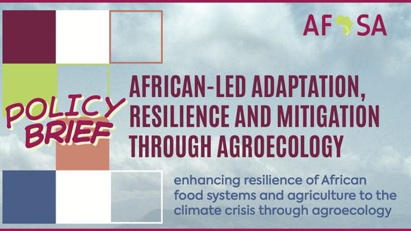 AFSA: AFRICAN-LED ADAPTATION AND RESILIENCE THROUGH AGROECOLOGY