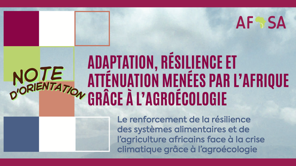 AFSA:  ADAPTATION ET RÉSILIENCE MENÉES PAR L’AFRIQUE GRÂCE À L’AGROÉCOLOGIE