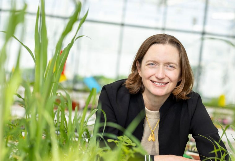 AFN : développement de bioherbicides ? Les acteurs de l’industrie interviennent