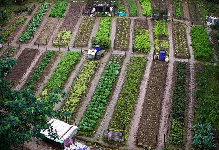 PAN : Agroecology Case Studies