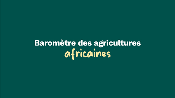 FARM: The African Agriculture Barometer – The Dairy Value Chain