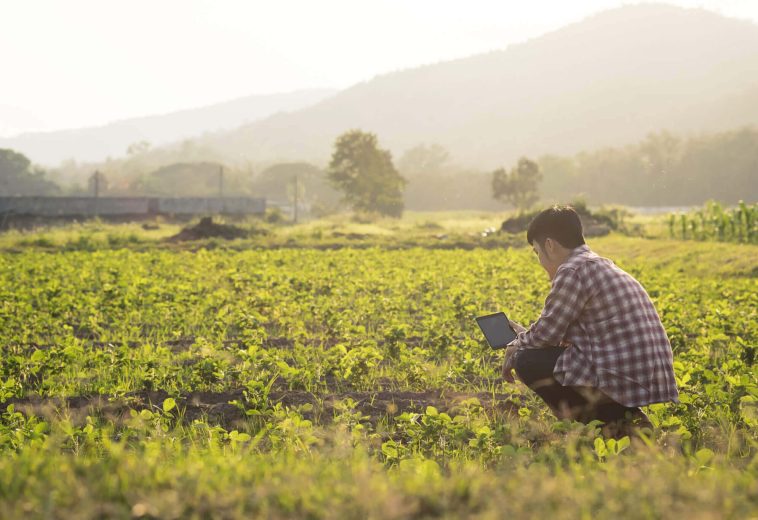 WALL STREET JOURNAL : . Agriculture de précision pilotée par AWS IoT