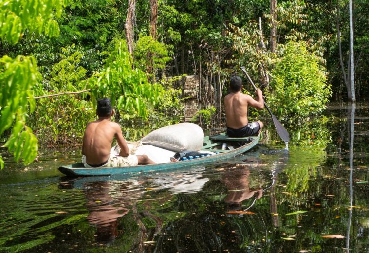 WORLD RESOURCES INSTITUTE : Les forêts peuvent être des atouts ou des passifs — à nous d’en décider