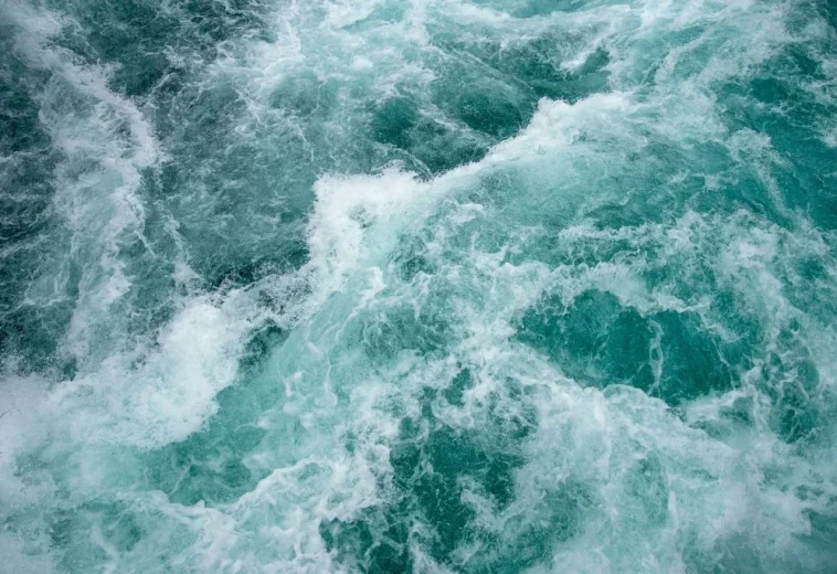 RURAL 21 : Cinq solutions pour la résilience face à la sécheresse