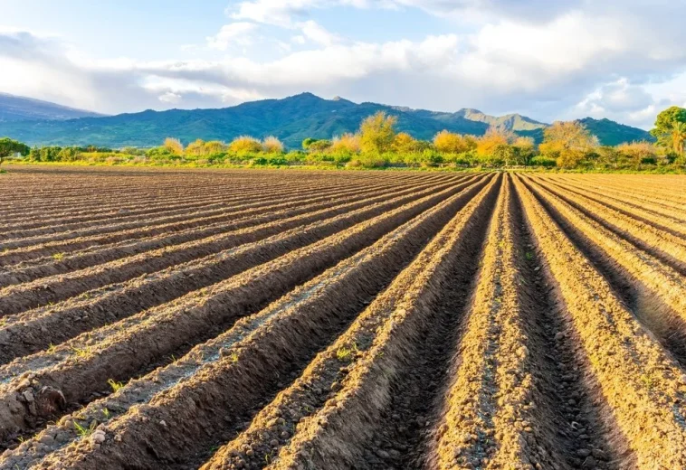 RURAL 21 : L’utilisation des terres réduit fortement le carbone mondial dans les plantes et les sols