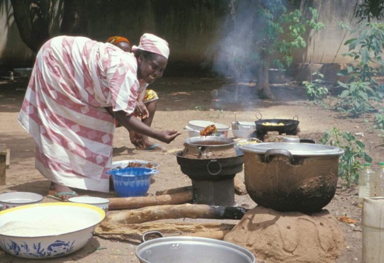 MONGABAY: COP 30: QU’A OBRENU L’AFRIQUE ?