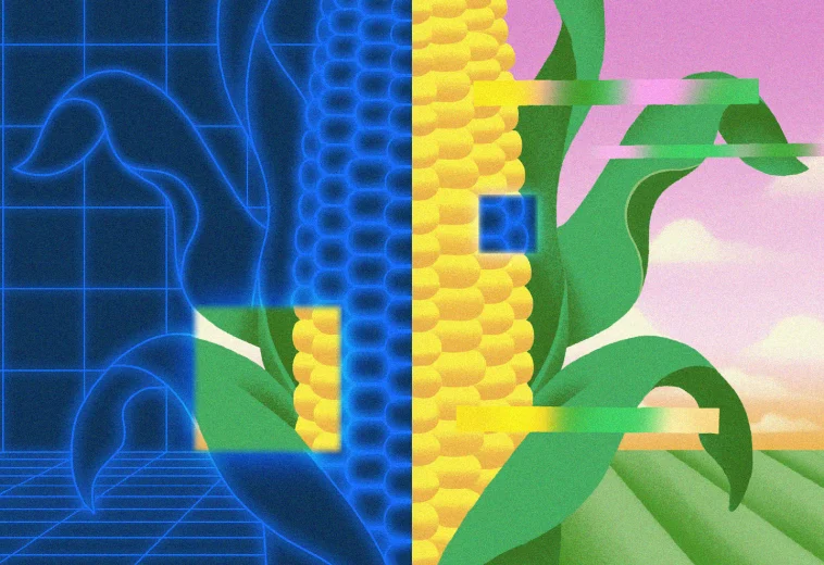 THE WASHINGTON POST : Technology is turning agriculture into a career like young workers