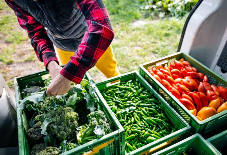 Agrifood : des rendements faibles, mais des gagnants constants