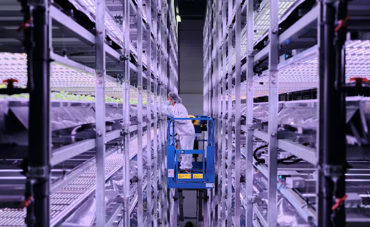 AGTECHNAVIGATOR : Une coentreprise de ferme indoor Arabie saoudite–Taïwan vise une nouvelle phase de croissance après le lancement à Riyad