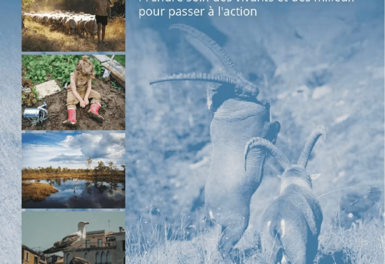 UICN : Comprendre le concept « Une seule santé »