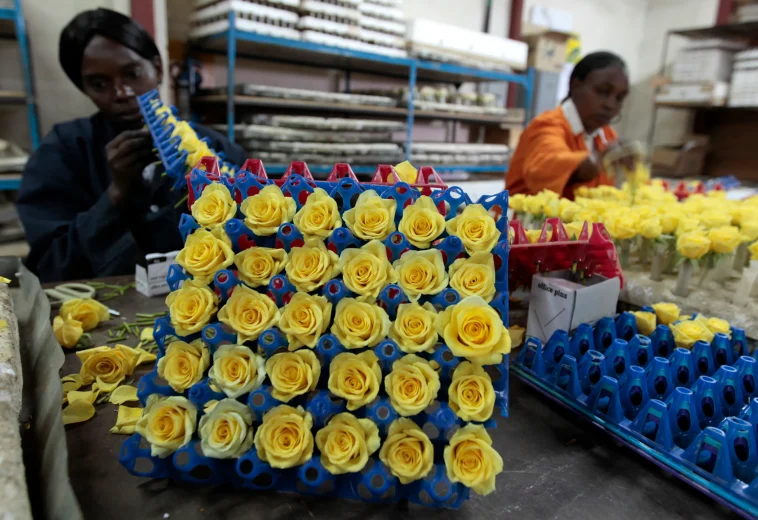 DEVEX : L’Afrique bénéficie d’un soutien indispensable de la part de Trump