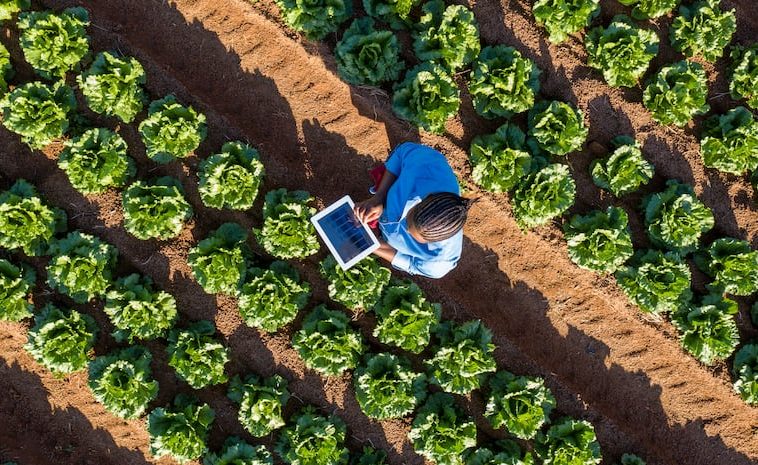 AGTECHNAVIGATOR : L’Afrique dispose des technologies, ce dont elle a désormais besoin, c’est de l’intégration.