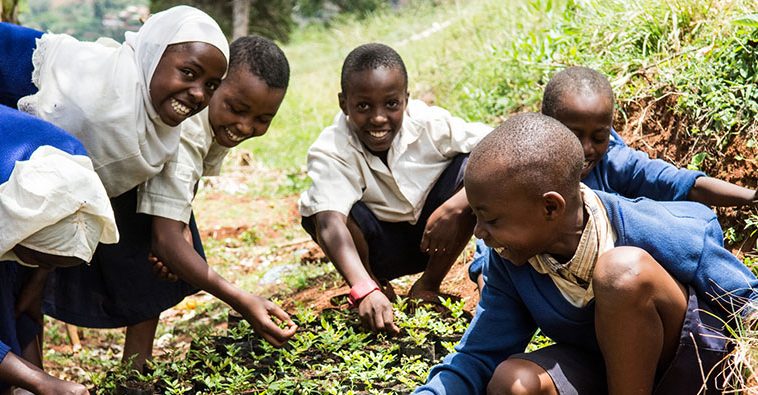 DEVEX – Les agri-influenceurs qui attirent la jeunesse africaine vers l’agriculture