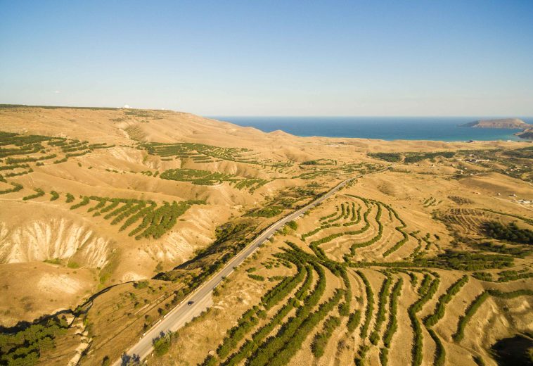 BLOOMBERG: UN Agricultural Agency Sees Middle East Funding Potential