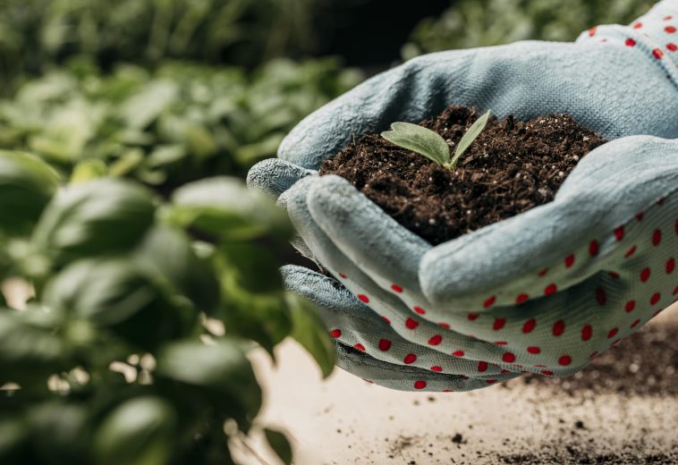 Utiliser le microbiome du sol pour pour une agriculture durable
