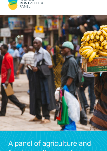 Malabo Montpellier Panel