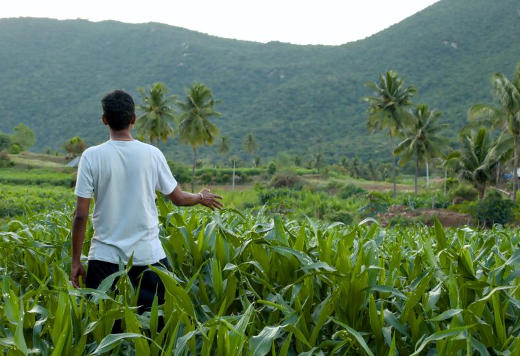 AFN : L’Inde mise sur les petits modèles de langage pour un grand impact auprès des petits exploitants agricoles