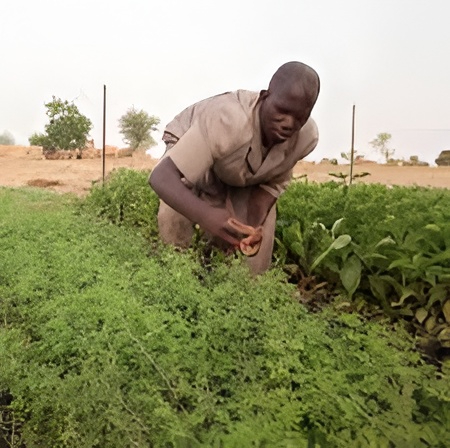 FAO : Bonnes pratiques pour une gestion durable de la biodiversité dans l’agriculture en Afrique de l’Ouest