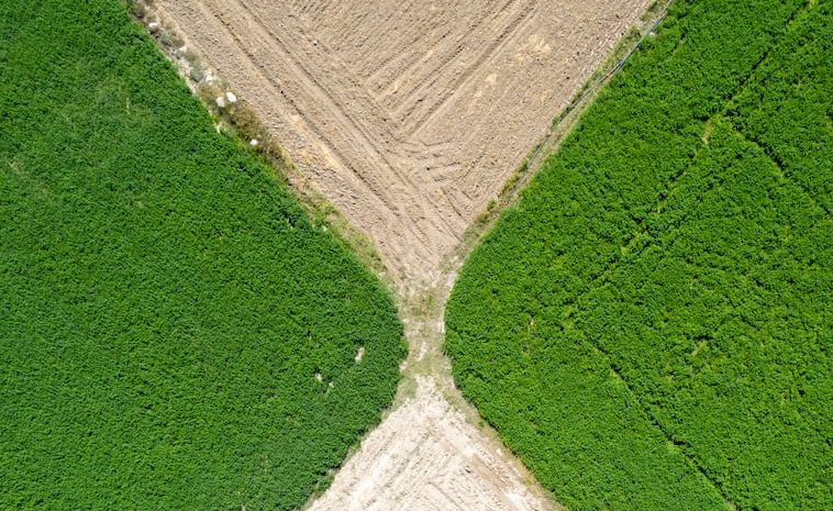 AgtechNavigator : La flambée des prix des engrais stimule l’intérêt pour les satellites hyperspectraux pour une gestion précise de l’azote