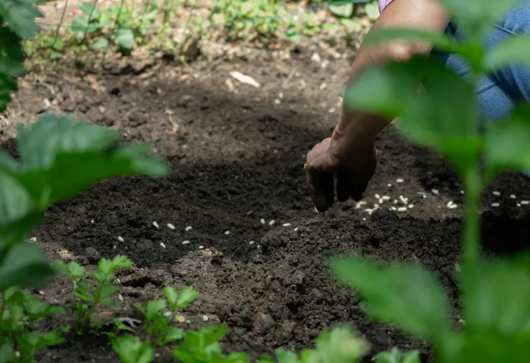 FINANCIAL TIMES : Le projet d’engrais verts remet en question la dépendance de l’industrie au gaz naturel