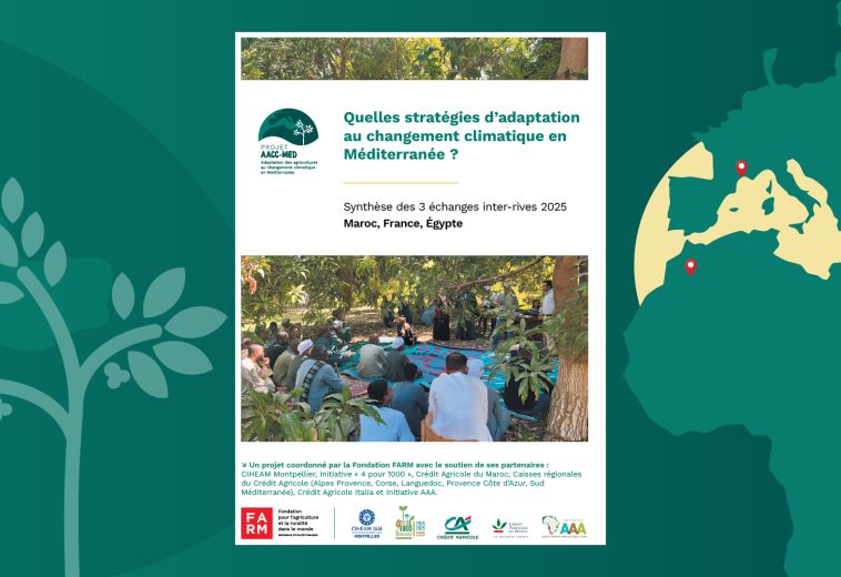 FARM : Quelles stratégies d’adaptation au changement climatique en Méditerranée