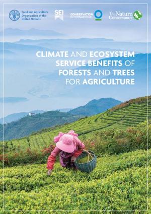 FAO : Climat et bénéfices écosystémiques des forêts et des arbres pour l’agriculture