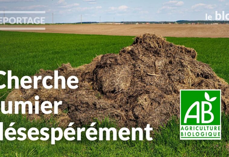 Without Livestock, No Organic Farming? The Nitrogen Issue | Reportage