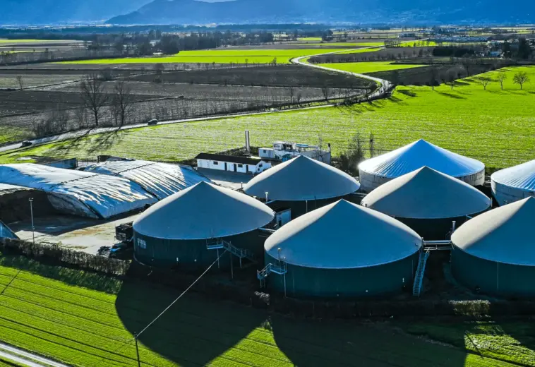 A disruptive project: Fossil-free green manure production