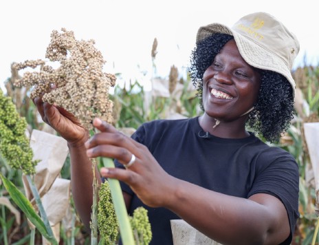 FAO : Un appel à des systèmes agroalimentaires justes en matière de genre en Afrique subsaharienne