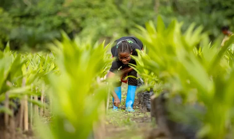 AFD : Analyser les dilemmes de la transition agroécologique en Afrique à l’horizon 2050
