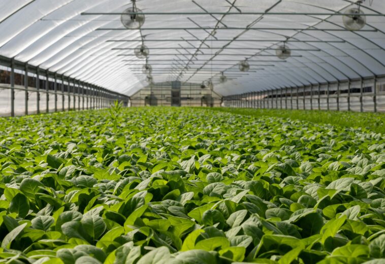 10–12 August 2026, Horticulture Conference 2026, Lisbon