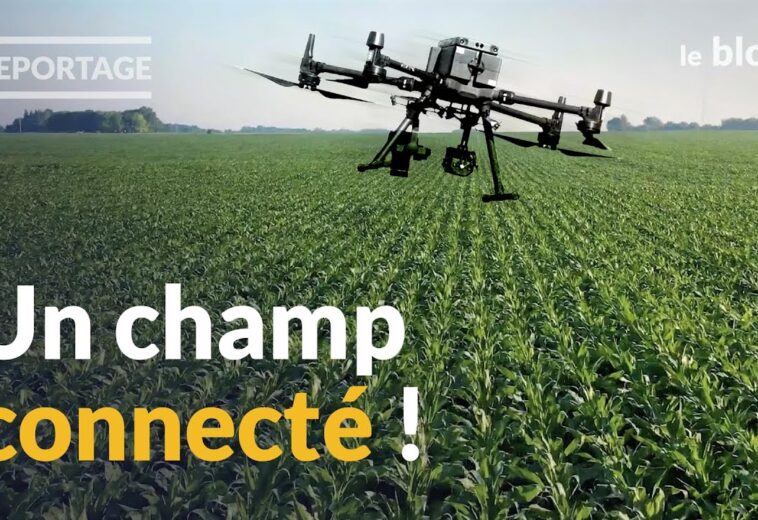 Robot, data et IA : l’agriculture innove pour faire face au changement climatique | REPORTAGE