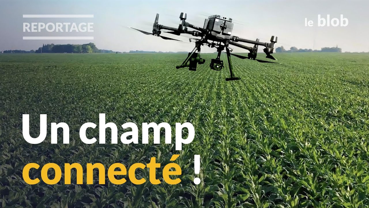Robot, data et IA : l’agriculture innove pour faire face au changement climatique | REPORTAGE