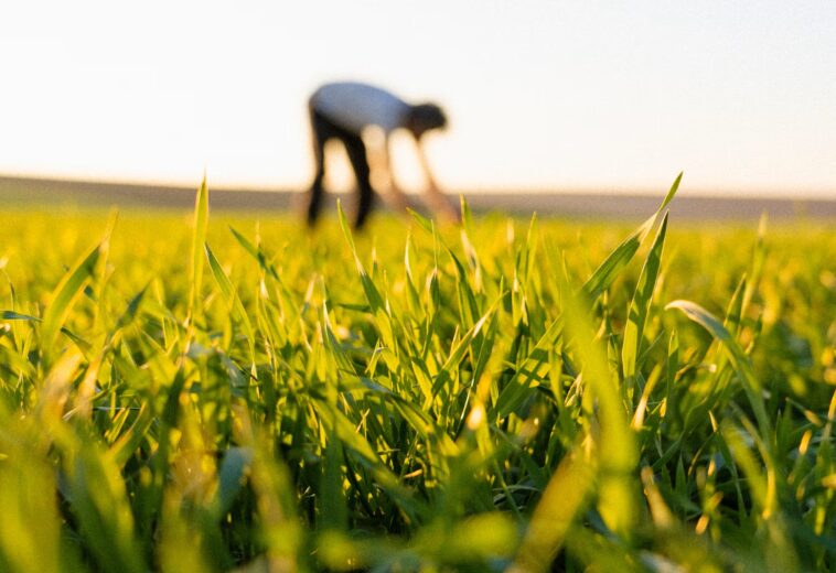 AgNavigator : Bilan de mai — Top 10 des innovations, startups et tendances du secteur