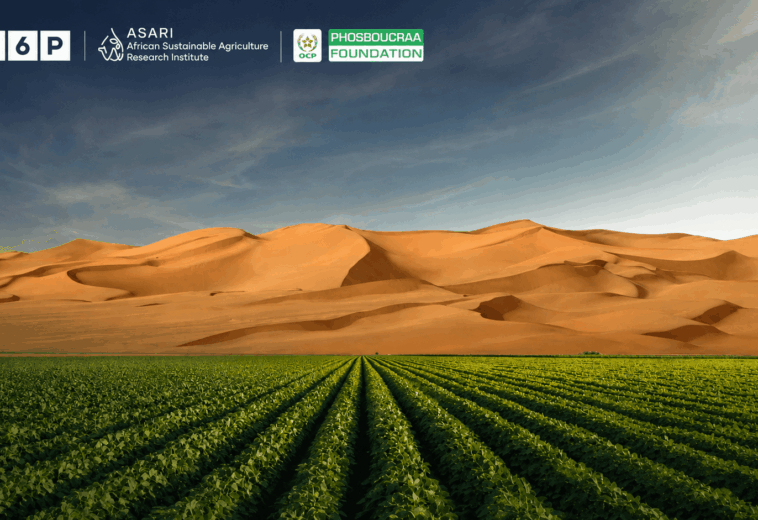 La science au service de l’amélioration de la résilience des cultures face à la sécheresse et à la salinité