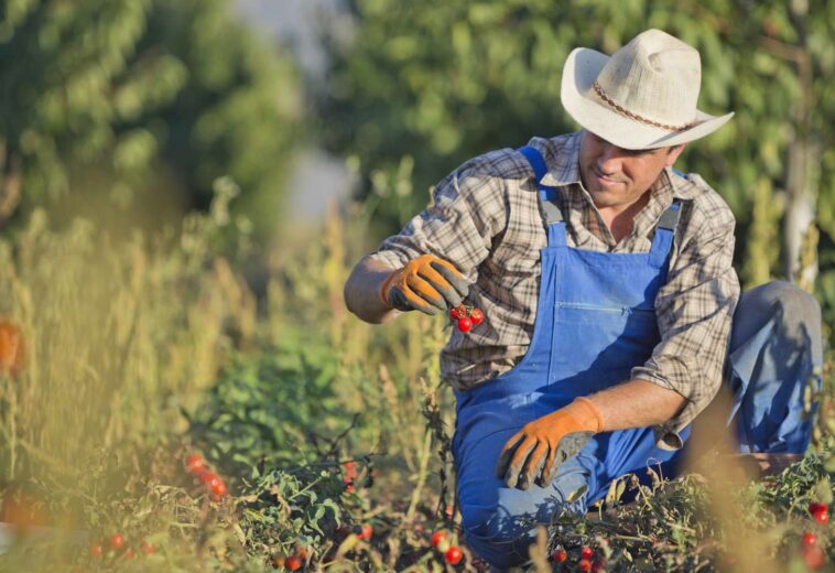 Bloomberg : L’avenir de l’agriculture américaine repose sur les exportations, encore et toujours