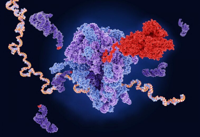 BI(O)HUB : Un modèle mondial de la biologie des protéines