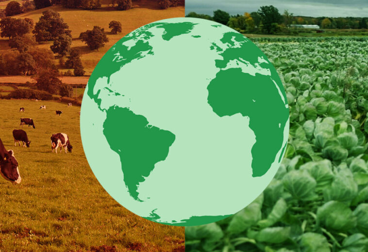 CORNELL UNIVERSITY : Le régime alimentaire qui pourrait transformer l’agriculture moderne