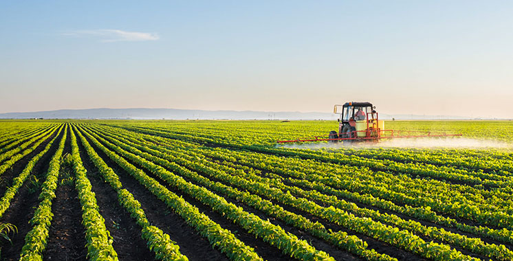 26 – 28 juillet 2026, Afro World Agri Food 2026