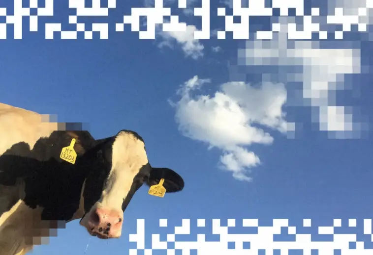 GRIST : Le fumier de vache pourrait devenir le prochain carburant des centres de données