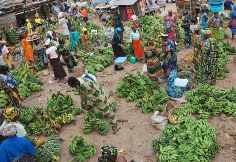 POLICY CENTER FOR THE NEW SOUTH : Afrique : différentes approches de la sécurité alimentaire.