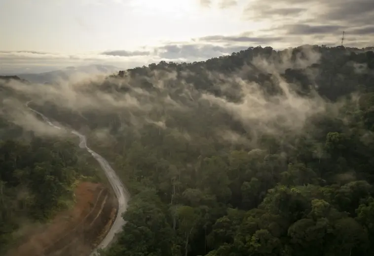 BLOOMBERG : Le bassin du Congo, essentiel au climat de la planète, reste largement sous-étudié