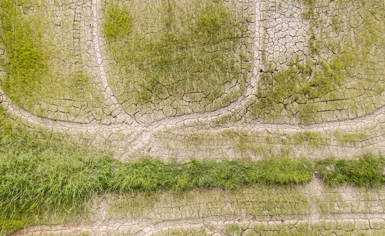 AGNAVIGATOR: Soil degradation is quietly cutting global food supplies