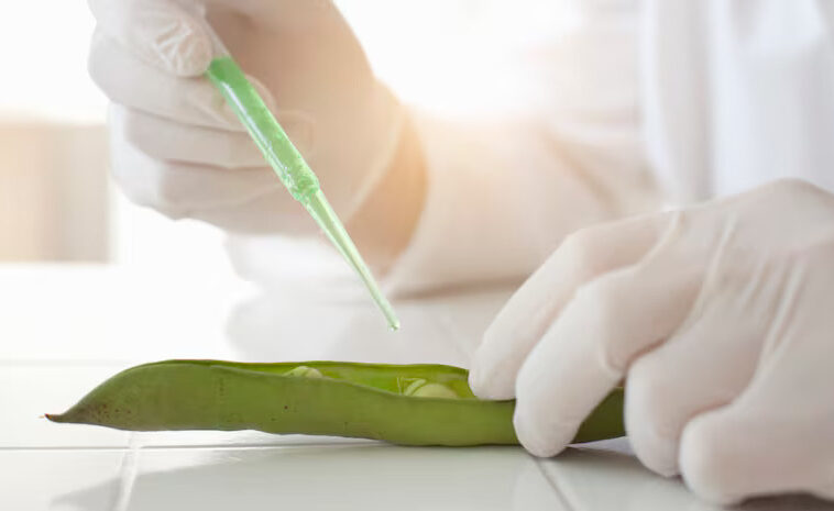 FOODNAVIGATOR : Les protéines alternatives au cœur de la stratégie alimentaire future de la Chine